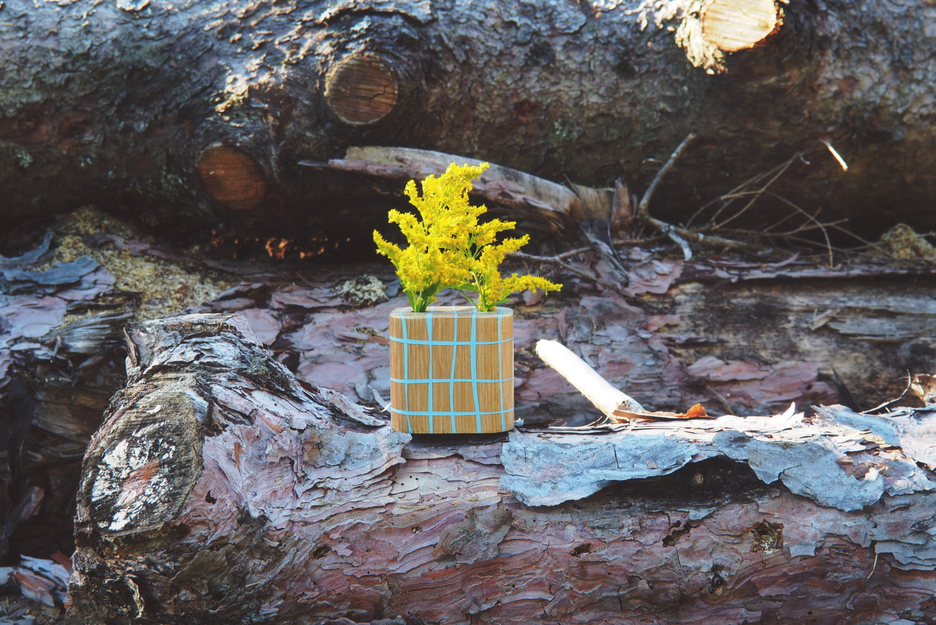 Un vase en bois avec des lignes bleues en résine est posé sur un tronc d'arbre.